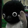 Suicaのペンギン君追加のTOP用写真